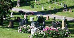 Memory Memorial Park